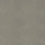 Warm Grey 4
